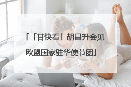 「甘快看」胡昌升会见欧盟国家驻华使节团