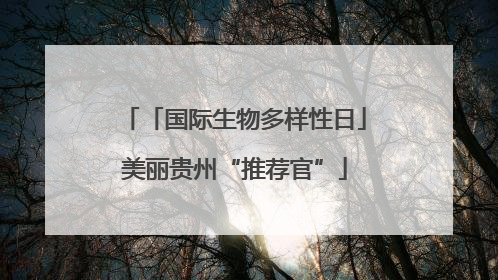「国际生物多样性日」美丽贵州“推荐官”