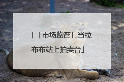 「市场监管」当拉布布站上拍卖台