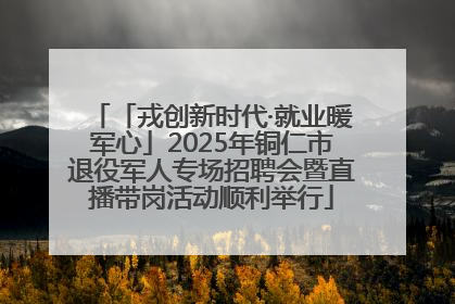 「戎创新时代·就业暖军心」2025年铜仁市退役军人专场招聘会暨直播带岗活动顺利举行