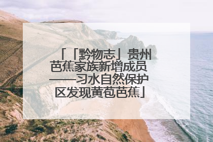 「黔物志」贵州芭蕉家族新增成员——习水自然保护区发现黄苞芭蕉