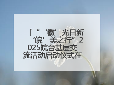 “‘徽’光日新‘皖’美之行”2025皖台基层交流活动启动仪式在芜举行