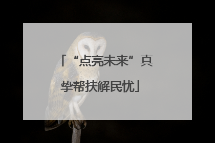 “点亮未来”真挚帮扶解民忧