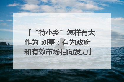 “特小乡”怎样有大作为 刘亭：有为政府和有效市场相向发力
