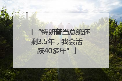 “特朗普当总统还剩3.5年，我会活跃40多年”