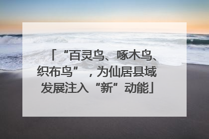 “百灵鸟、啄木鸟、织布鸟”，为仙居县域发展注入“新”动能