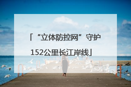 “立体防控网”守护152公里长江岸线