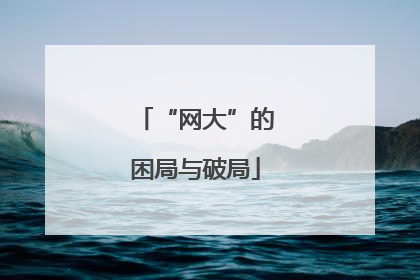 “网大”的困局与破局