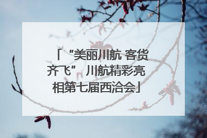 “美丽川航 客货齐飞” 川航精彩亮相第七届西洽会