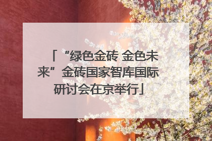 “绿色金砖 金色未来”金砖国家智库国际研讨会在京举行