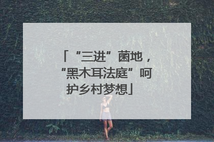 “三进”菌地，“黑木耳法庭”呵护乡村梦想