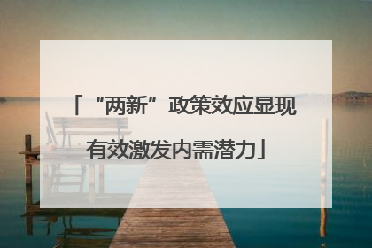 “两新”政策效应显现 有效激发内需潜力