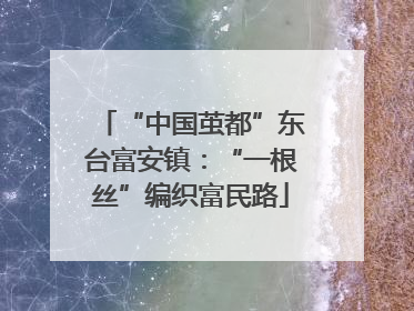 “中国茧都”东台富安镇：“一根丝”编织富民路