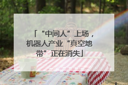 “中间人”上场，机器人产业“真空地带”正在消失