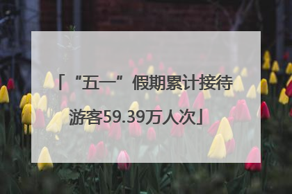 “五一”假期累计接待游客59.39万人次