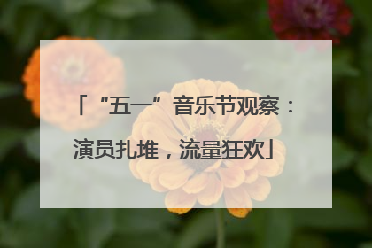 “五一”音乐节观察：演员扎堆，流量狂欢