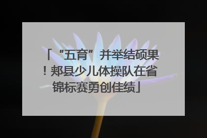 “五育”并举结硕果！郏县少儿体操队在省锦标赛勇创佳绩