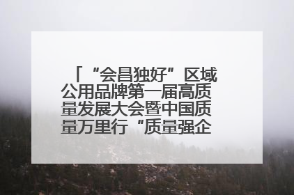 “会昌独好”区域公用品牌第一届高质量发展大会暨中国质量万里行“质量强企•质品行动”进会昌启动仪式成功举办