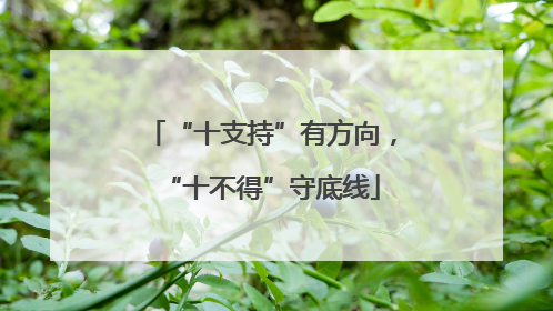 “十支持”有方向，“十不得”守底线
