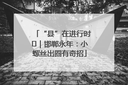“县”在进行时⑬｜邯郸永年：小螺丝出圈有奇招
