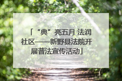 “典”亮五月 法润社区——新野县法院开展普法宣传活动