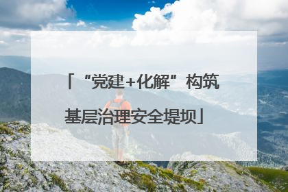 “党建+化解”构筑基层治理安全堤坝