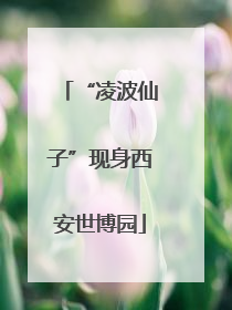 “凌波仙子”现身西安世博园