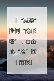 “减垄”推倒“隐形墙”，百亩地“捡”回十亩粮