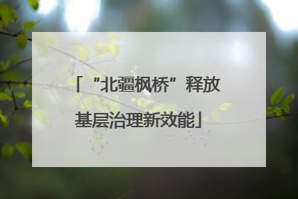“北疆枫桥”释放基层治理新效能