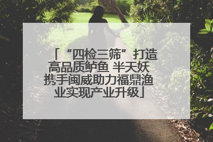 “四检三筛”打造高品质鲈鱼 半天妖携手闽威助力福鼎渔业实现产业升级