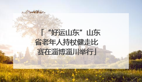 “好运山东”山东省老年人持杖健走比赛在淄博淄川举行