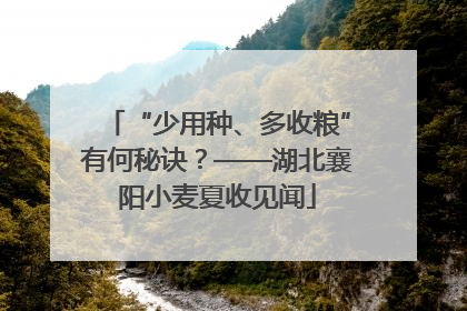 “少用种、多收粮”有何秘诀？——湖北襄阳小麦夏收见闻