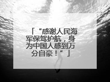 “感谢人民海军保驾护航，身为中国人感到万分自豪！”