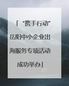 “携手行动”岳阳中小企业出海服务专项活动成功举办