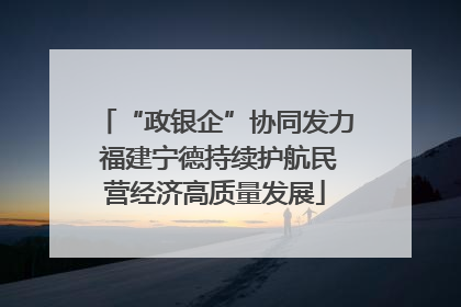 “政银企”协同发力 福建宁德持续护航民营经济高质量发展