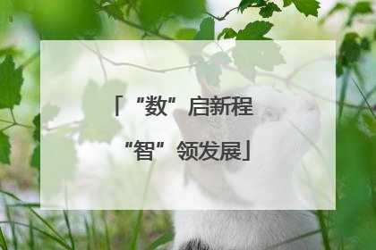 “数”启新程 “智”领发展
