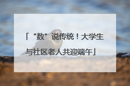 “数”说传统！大学生与社区老人共迎端午