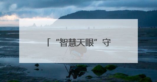 “智慧天眼”守护湿地 联通助力东明县打造生物多样性保护新范式
