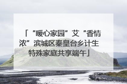 “暖心家园”艾“香情浓”滨城区秦皇台乡计生特殊家庭共享端午