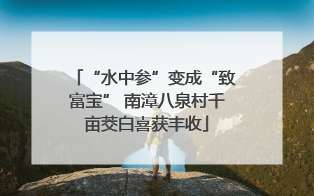 “水中参”变成“致富宝” 南漳八泉村千亩茭白喜获丰收