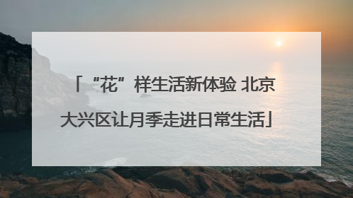 “花”样生活新体验 北京大兴区让月季走进日常生活