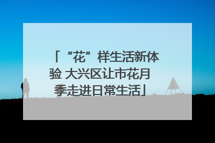 “花”样生活新体验 大兴区让市花月季走进日常生活
