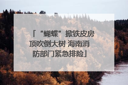 “蝴蝶”掀铁皮房顶吹倒大树 海南消防部门紧急排险