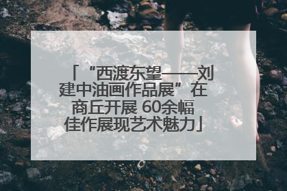“西渡东望——刘建中油画作品展”在商丘开展 60余幅佳作展现艺术魅力