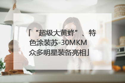 “超级大黄蜂”、特色涂装苏-30MKM 众多明星装备亮相