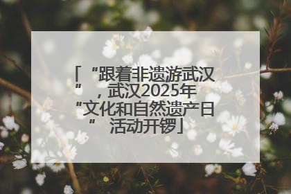“跟着非遗游武汉”，武汉2025年“文化和自然遗产日” 活动开锣
