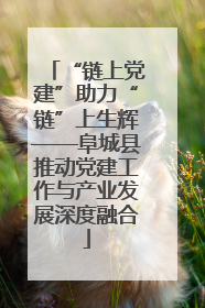 “链上党建”助力“链”上生辉——阜城县推动党建工作与产业发展深度融合