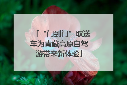 “门到门”取送车为青藏高原自驾游带来新体验