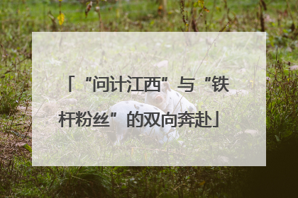“问计江西”与“铁杆粉丝”的双向奔赴