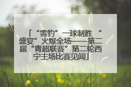 “雪豹”一球制胜 “盛宴”火爆全场——第二届“青超联赛”第二轮西宁主场比赛见闻